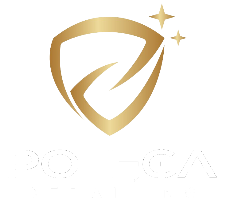 Potęga Detailing Logo